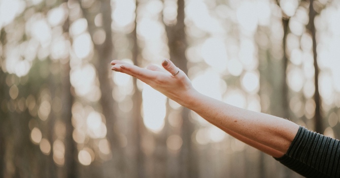 Temperament (Virtual)